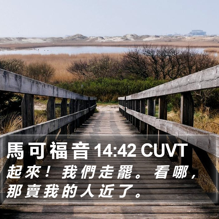 馬 可 福 音 14:42 CUVT Bible Study