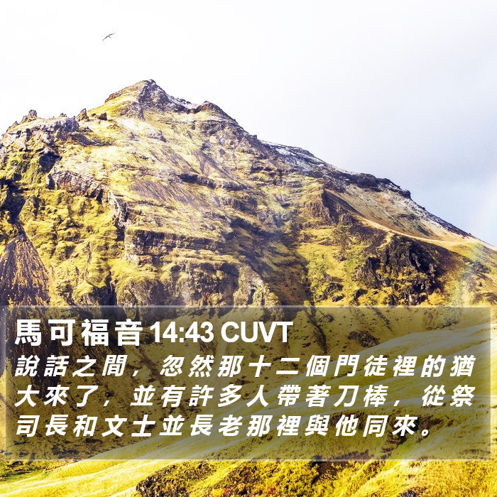 馬 可 福 音 14:43 CUVT Bible Study