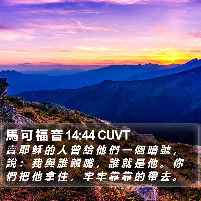 馬 可 福 音 14:44 CUVT Bible Study