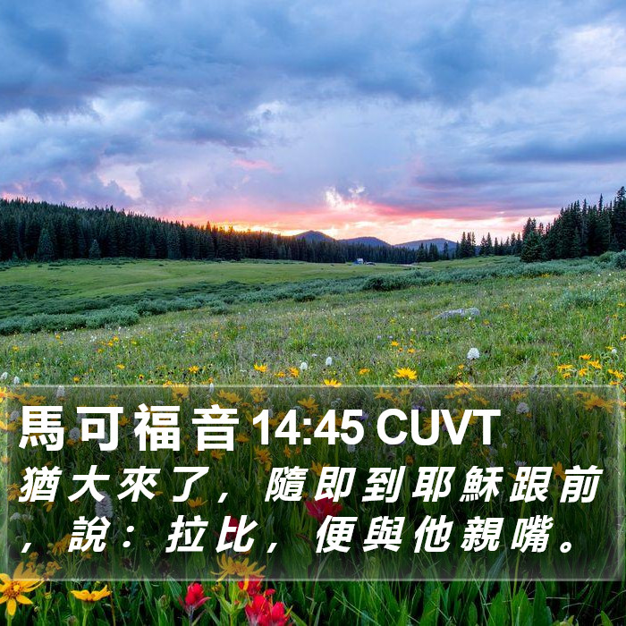 馬 可 福 音 14:45 CUVT Bible Study