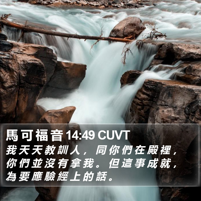 馬 可 福 音 14:49 CUVT Bible Study