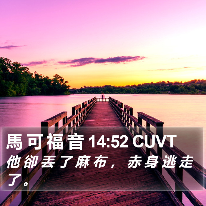 馬 可 福 音 14:52 CUVT Bible Study