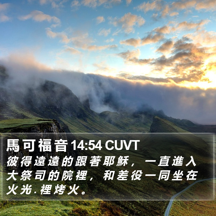 馬 可 福 音 14:54 CUVT Bible Study