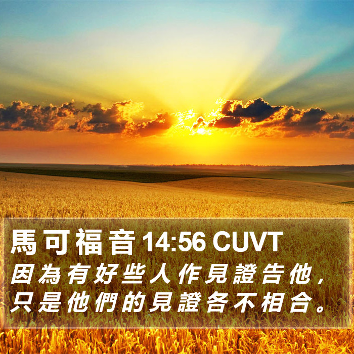 馬 可 福 音 14:56 CUVT Bible Study