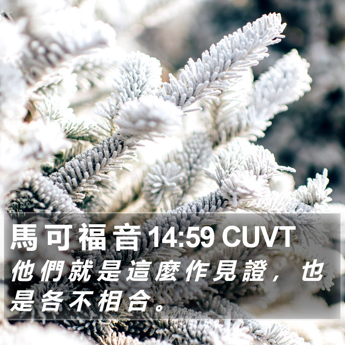 馬 可 福 音 14:59 CUVT Bible Study