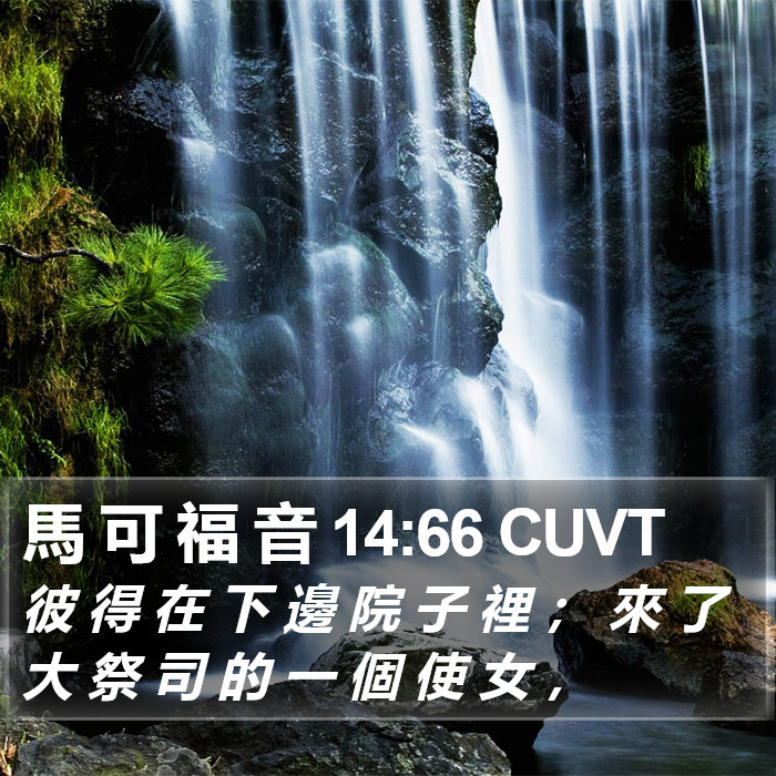 馬 可 福 音 14:66 CUVT Bible Study