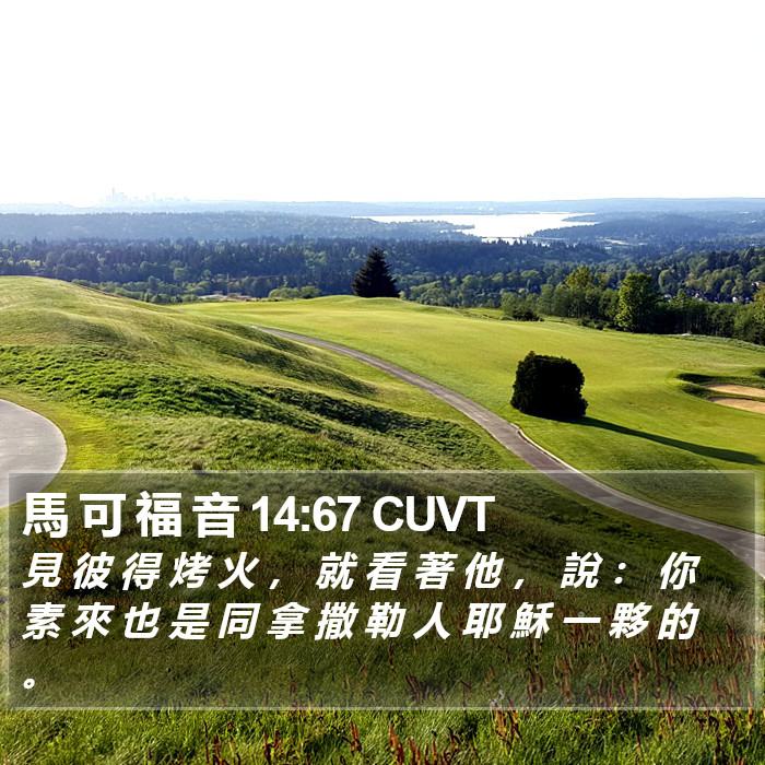 馬 可 福 音 14:67 CUVT Bible Study