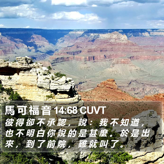 馬 可 福 音 14:68 CUVT Bible Study