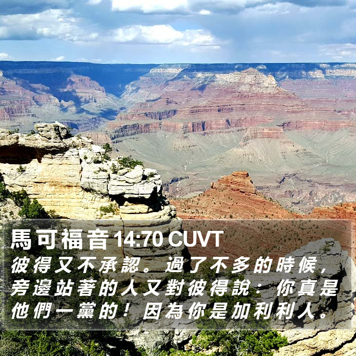 馬 可 福 音 14:70 CUVT Bible Study