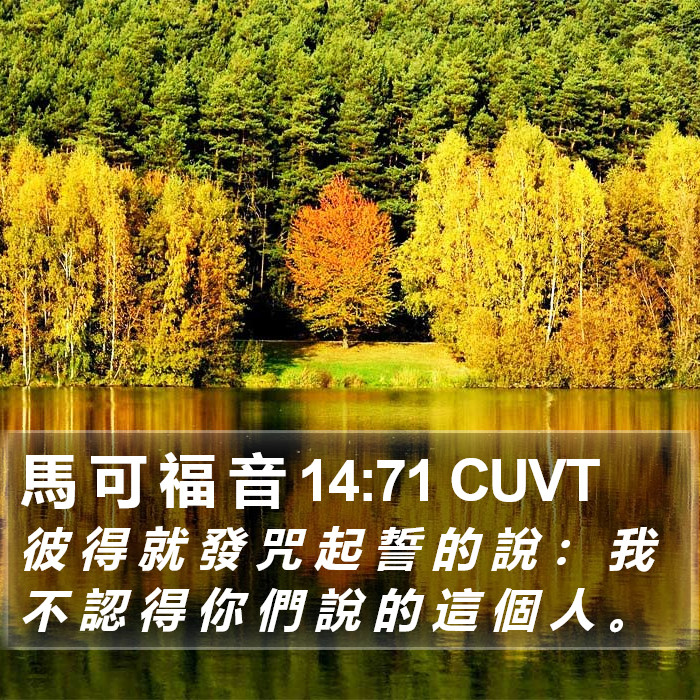 馬 可 福 音 14:71 CUVT Bible Study