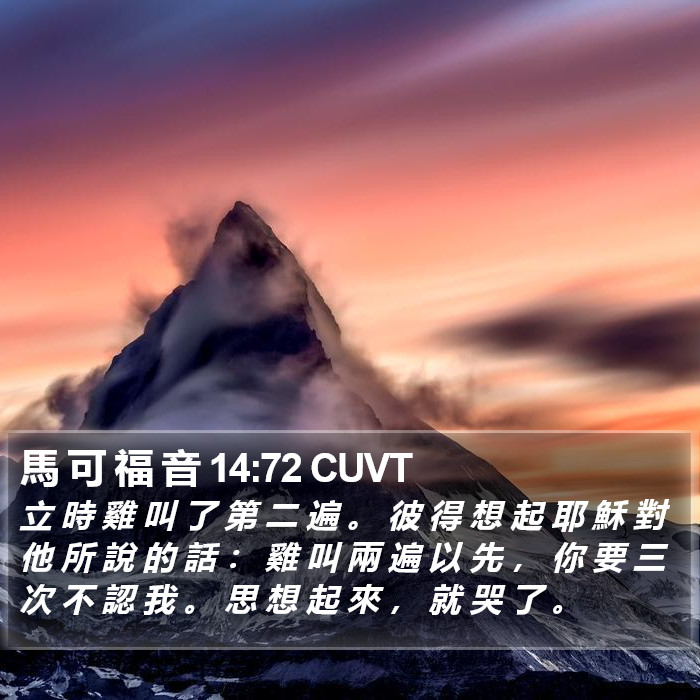 馬 可 福 音 14:72 CUVT Bible Study