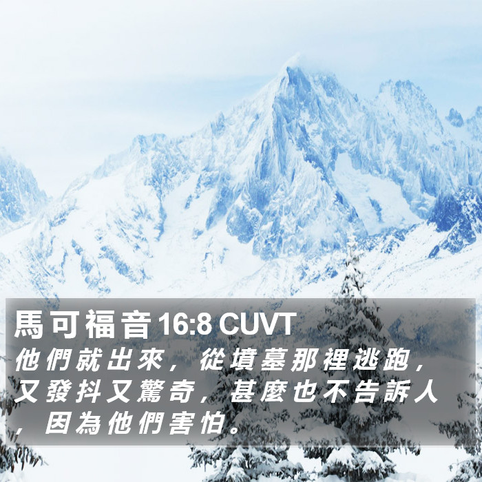 馬 可 福 音 16:8 CUVT Bible Study