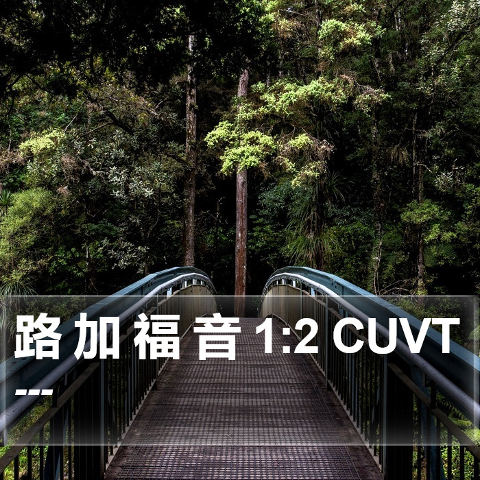 路 加 福 音 1:2 CUVT Bible Study