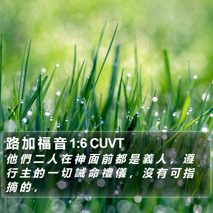 路 加 福 音 1:6 CUVT Bible Study