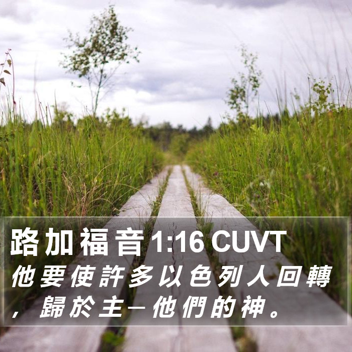 路 加 福 音 1:16 CUVT Bible Study