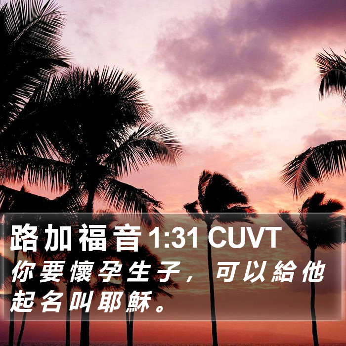 路 加 福 音 1:31 CUVT Bible Study