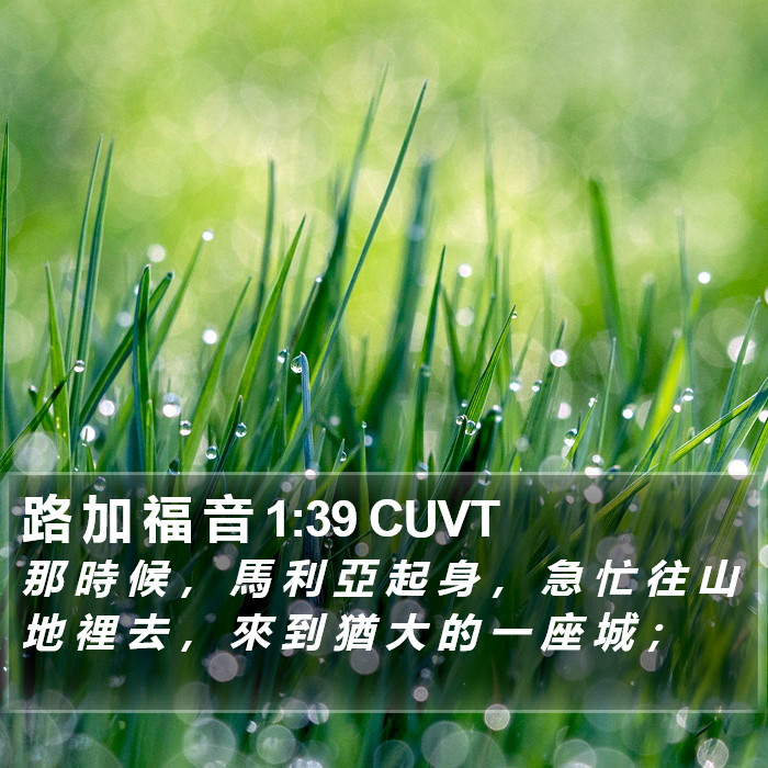 路 加 福 音 1:39 CUVT Bible Study