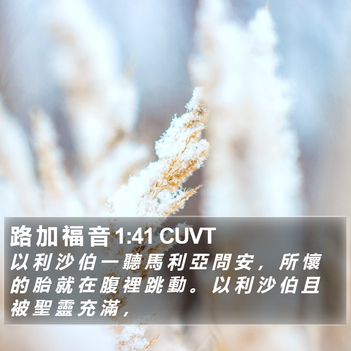 路 加 福 音 1:41 CUVT Bible Study