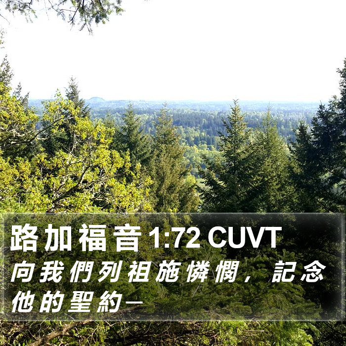 路 加 福 音 1:72 CUVT Bible Study