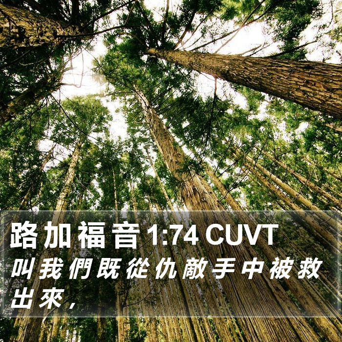 路 加 福 音 1:74 CUVT Bible Study