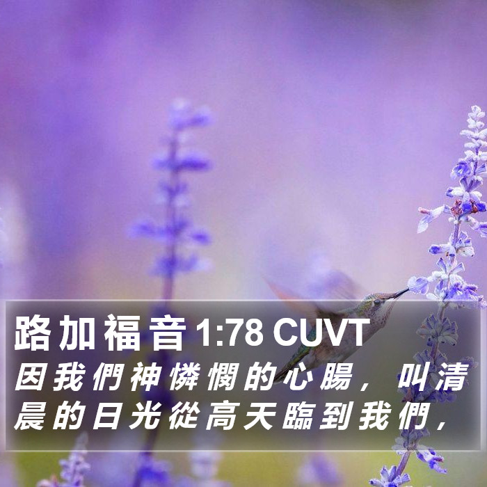 路 加 福 音 1:78 CUVT Bible Study