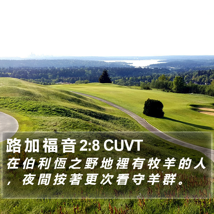 路 加 福 音 2:8 CUVT Bible Study