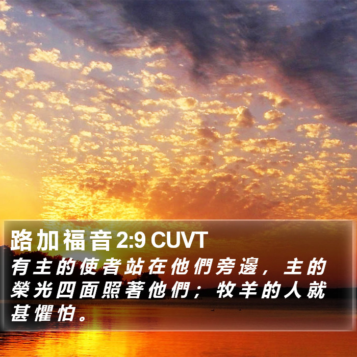 路 加 福 音 2:9 CUVT Bible Study