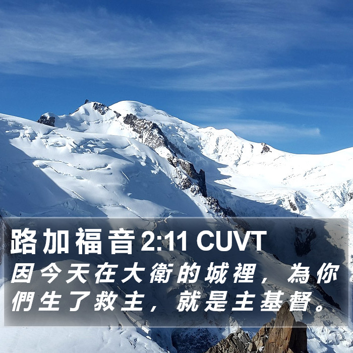 路 加 福 音 2:11 CUVT Bible Study