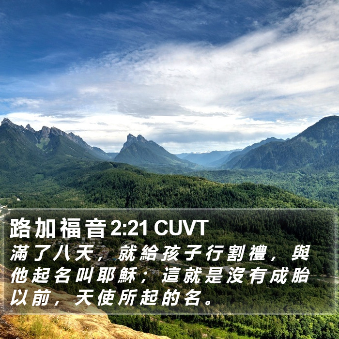 路 加 福 音 2:21 CUVT Bible Study