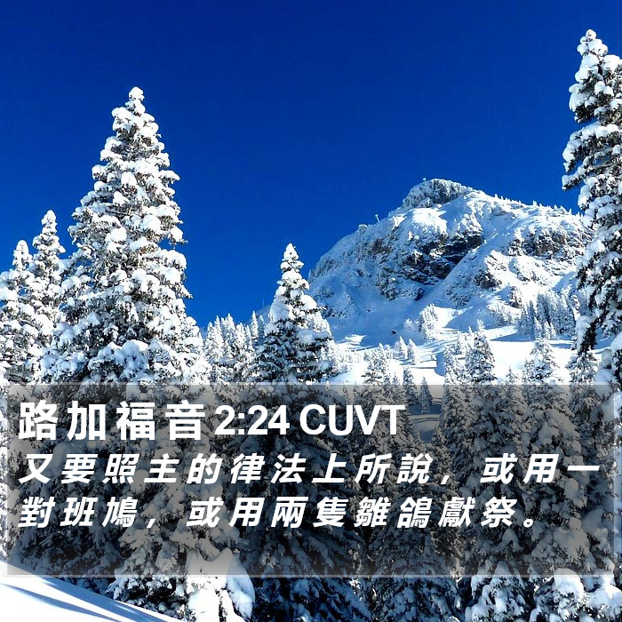 路 加 福 音 2:24 CUVT Bible Study