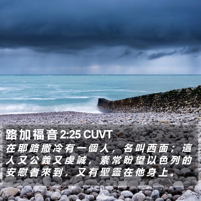 路 加 福 音 2:25 CUVT Bible Study