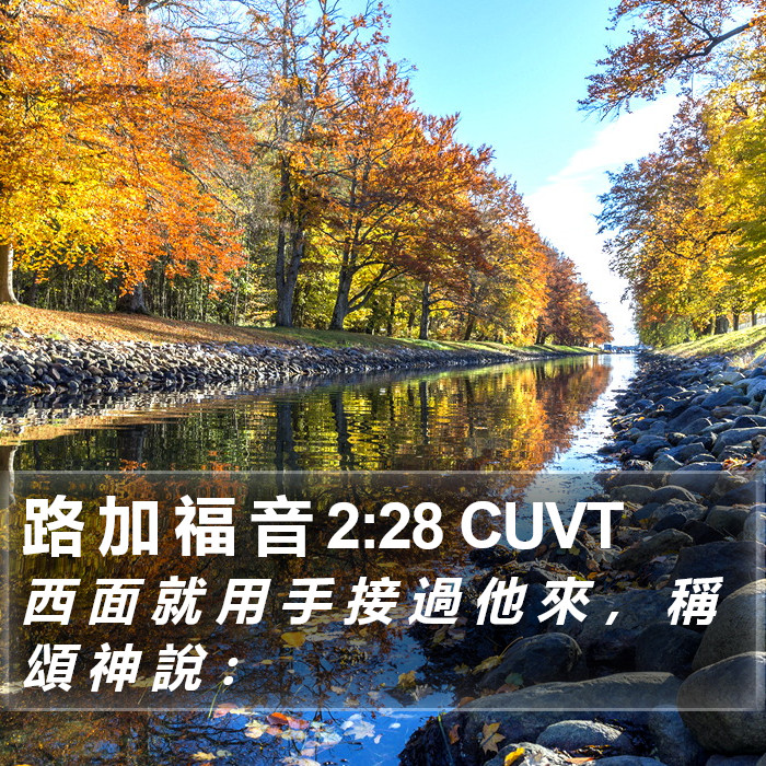 路 加 福 音 2:28 CUVT Bible Study