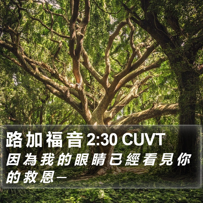 路 加 福 音 2:30 CUVT Bible Study