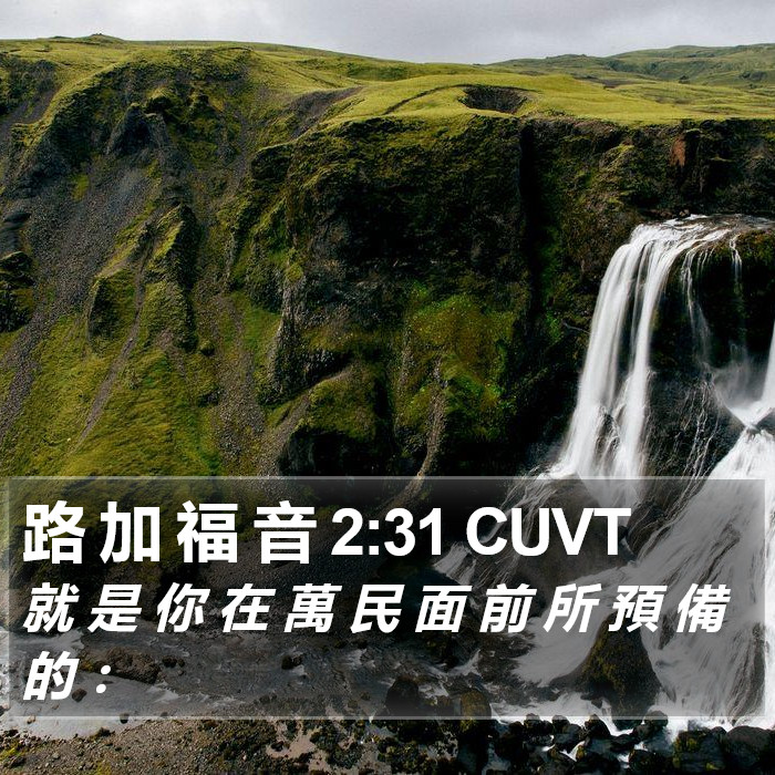 路 加 福 音 2:31 CUVT Bible Study
