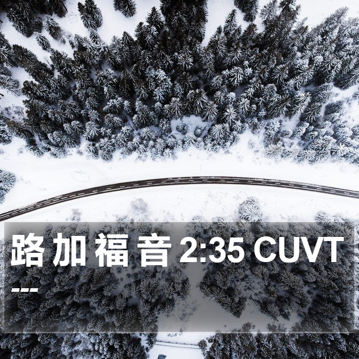 路 加 福 音 2:35 CUVT Bible Study