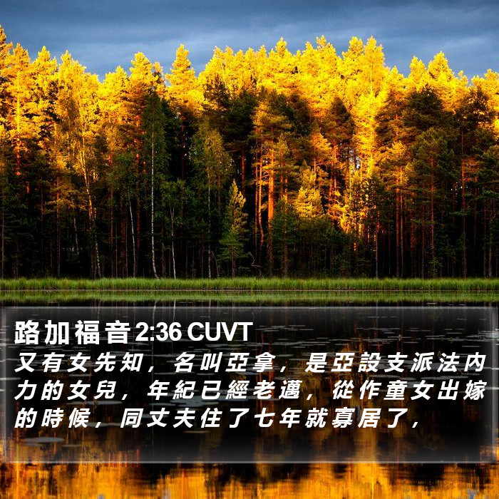 路 加 福 音 2:36 CUVT Bible Study