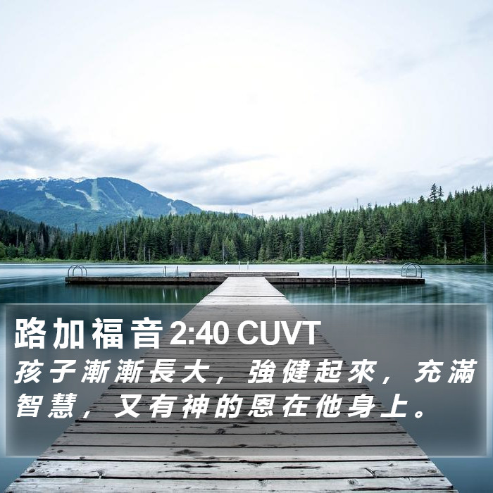 路 加 福 音 2:40 CUVT Bible Study