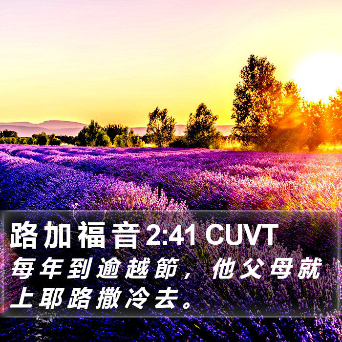 路 加 福 音 2:41 CUVT Bible Study
