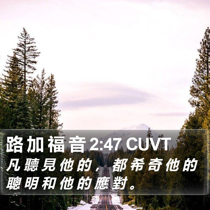 路 加 福 音 2:47 CUVT Bible Study