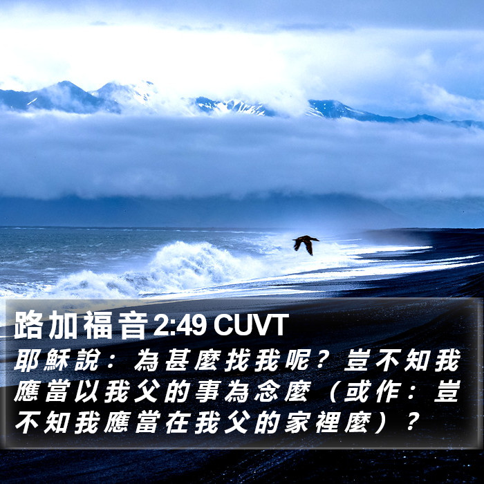 路 加 福 音 2:49 CUVT Bible Study