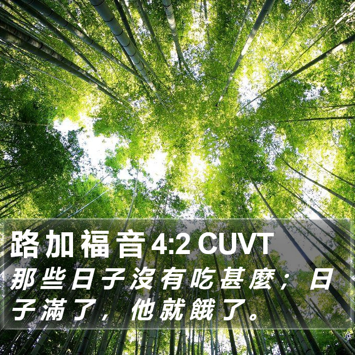 路 加 福 音 4:2 CUVT Bible Study