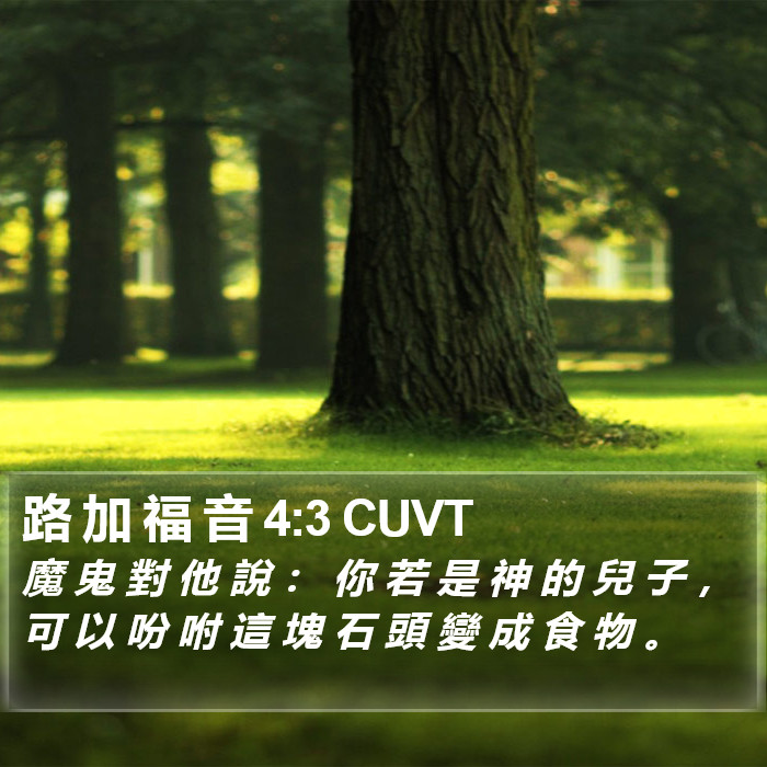 路 加 福 音 4:3 CUVT Bible Study