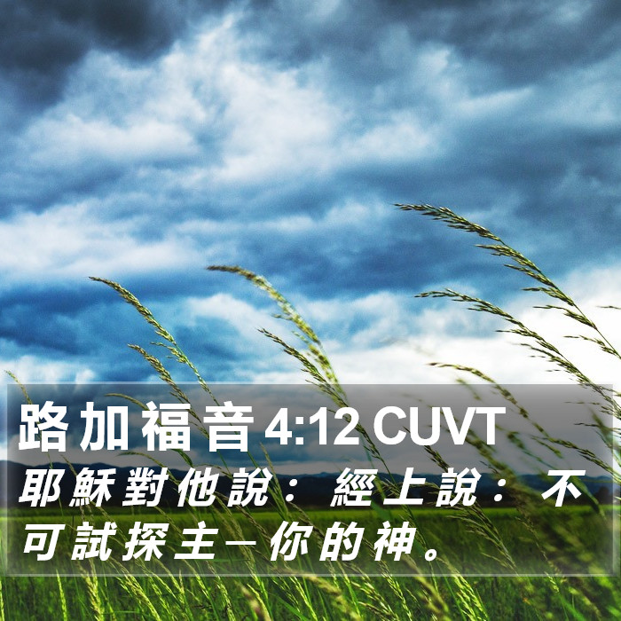 路 加 福 音 4:12 CUVT Bible Study