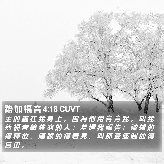 路 加 福 音 4:18 CUVT Bible Study