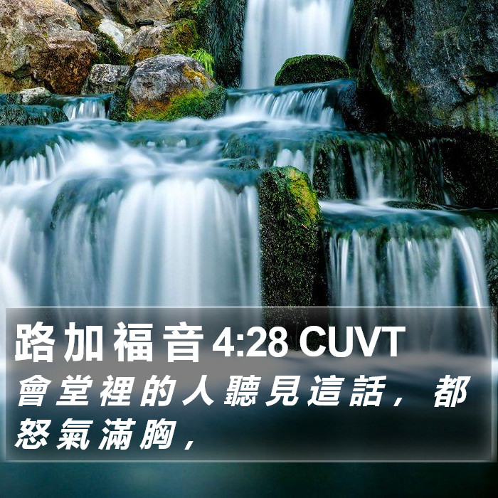 路 加 福 音 4:28 CUVT Bible Study