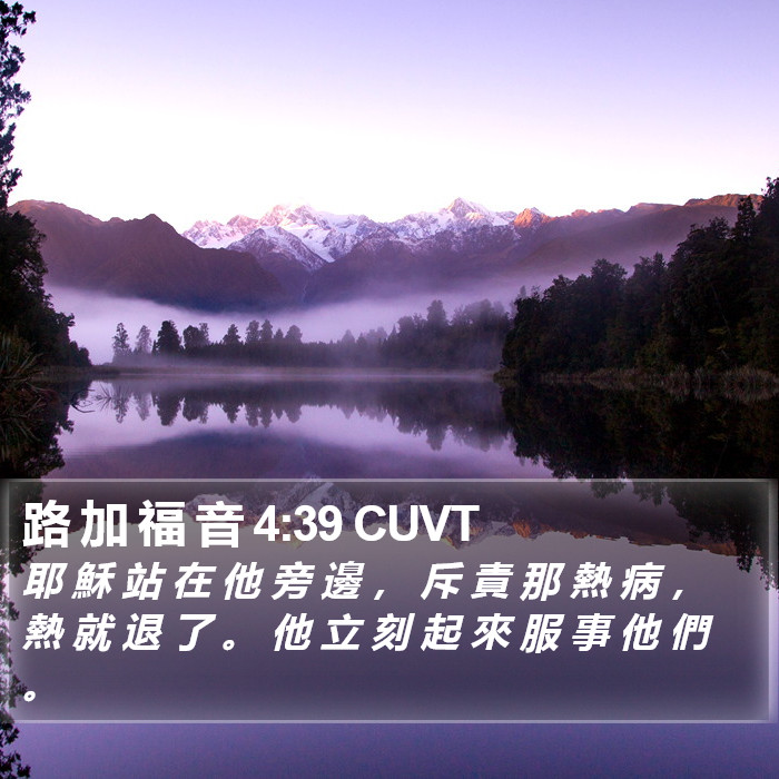 路 加 福 音 4:39 CUVT Bible Study