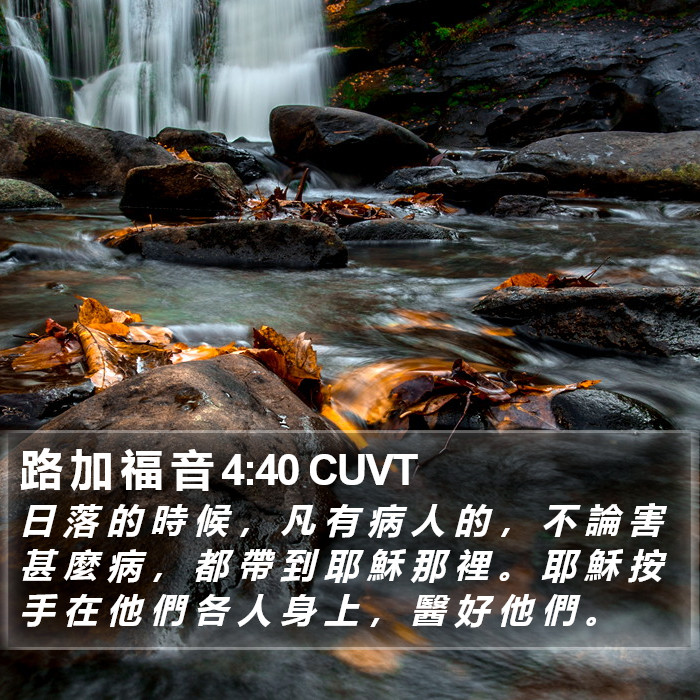 路 加 福 音 4:40 CUVT Bible Study