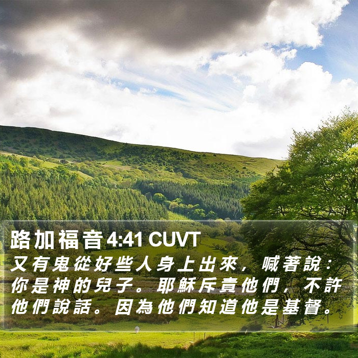 路 加 福 音 4:41 CUVT Bible Study