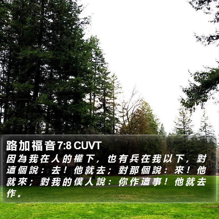 路 加 福 音 7:8 CUVT Bible Study