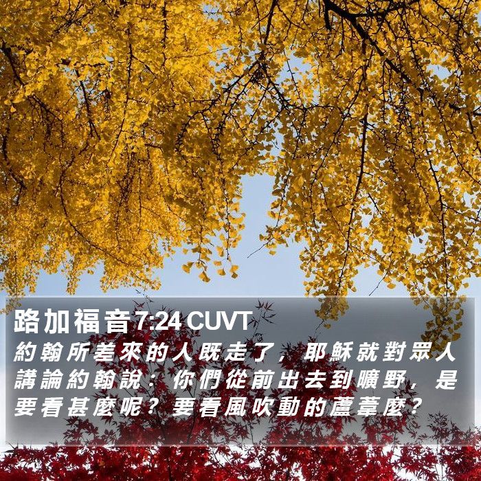 路 加 福 音 7:24 CUVT Bible Study